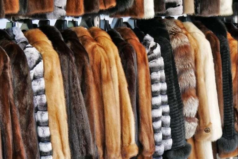 Scopri di più sull'articolo Torna in voga la pelliccia: riciclo del vintage o acquisto del sintetico?