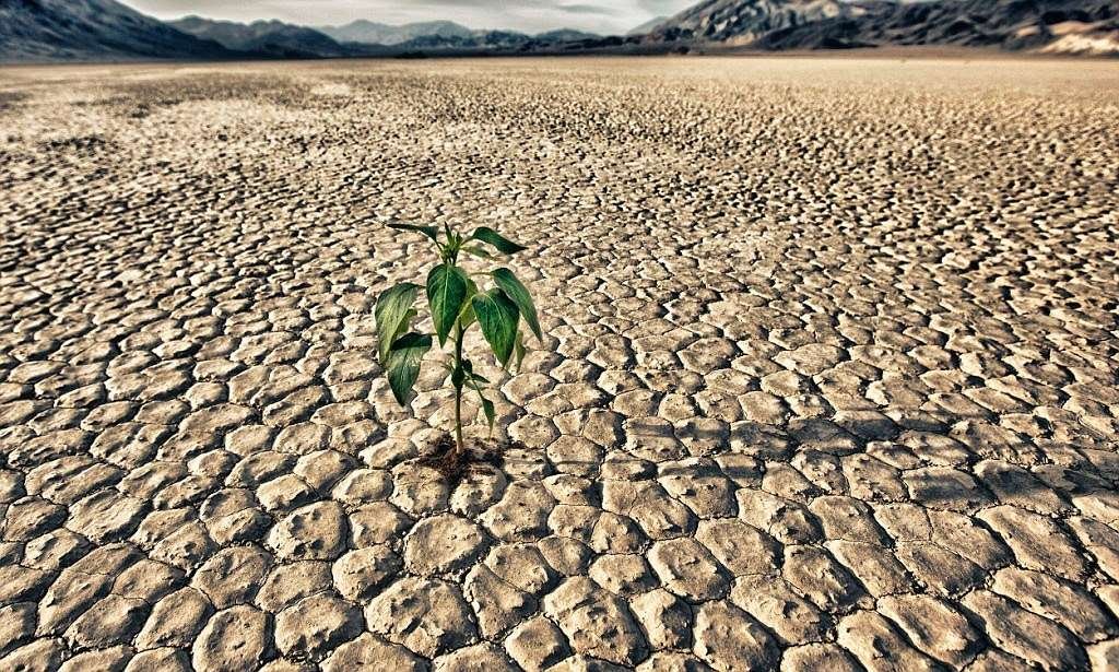 SOS SICILIA: la terra d’aranci tra spopolamento e crisi idrica