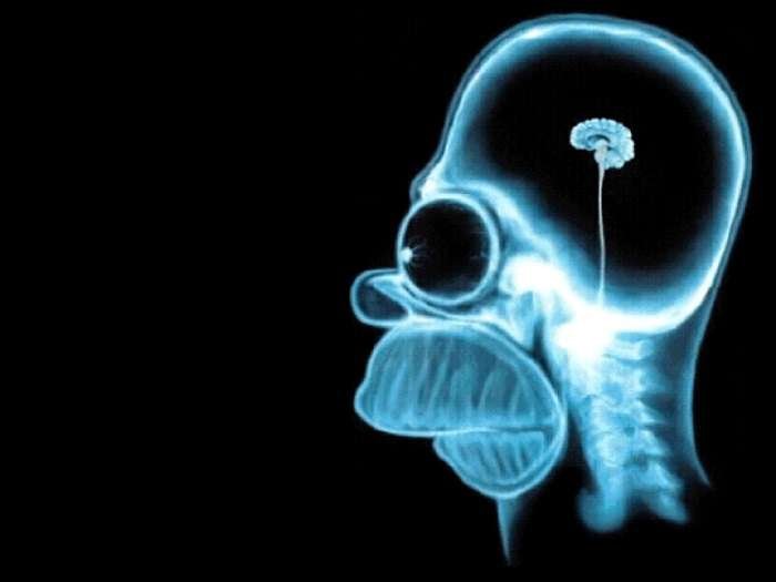 La scienza che studia perché siamo stupidi
