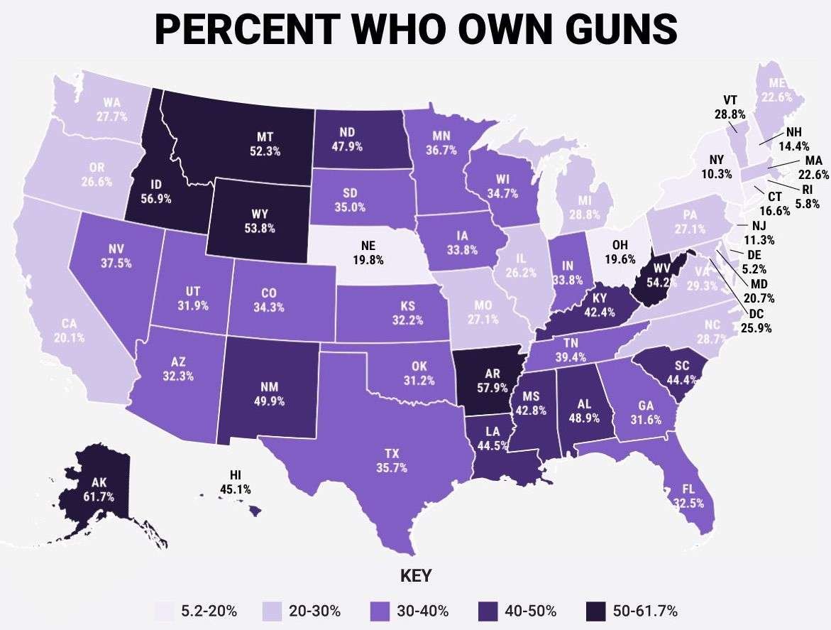 Armi secondo emendamento USA percentuale di chi possiede armi negli Stati Uniti