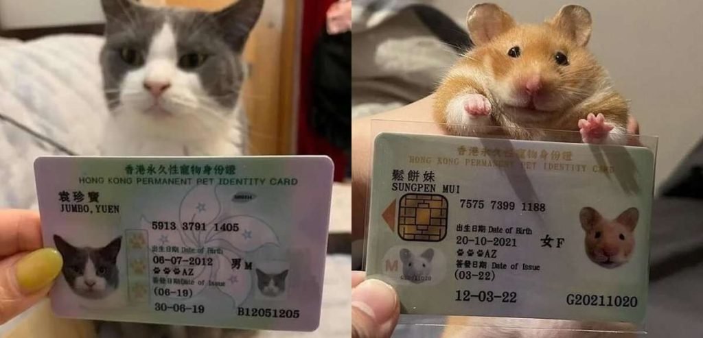 Ad Hong Kong le persone creano documenti per i propri animali