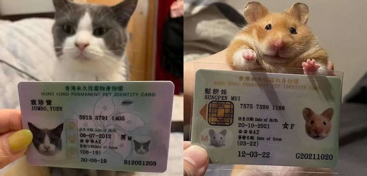 Scopri di più sull'articolo Ad Hong Kong le persone creano documenti per i propri animali