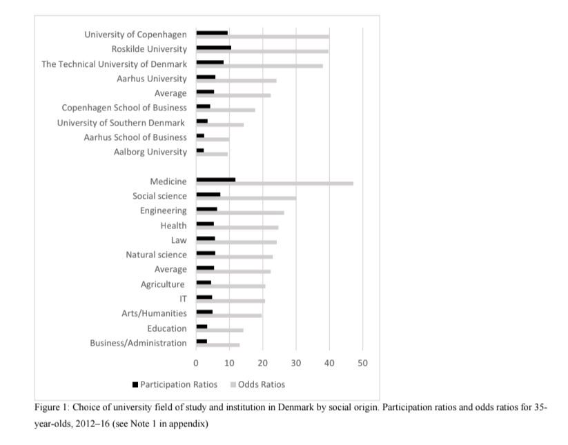 lavoro università dati grafico informazione scegliere