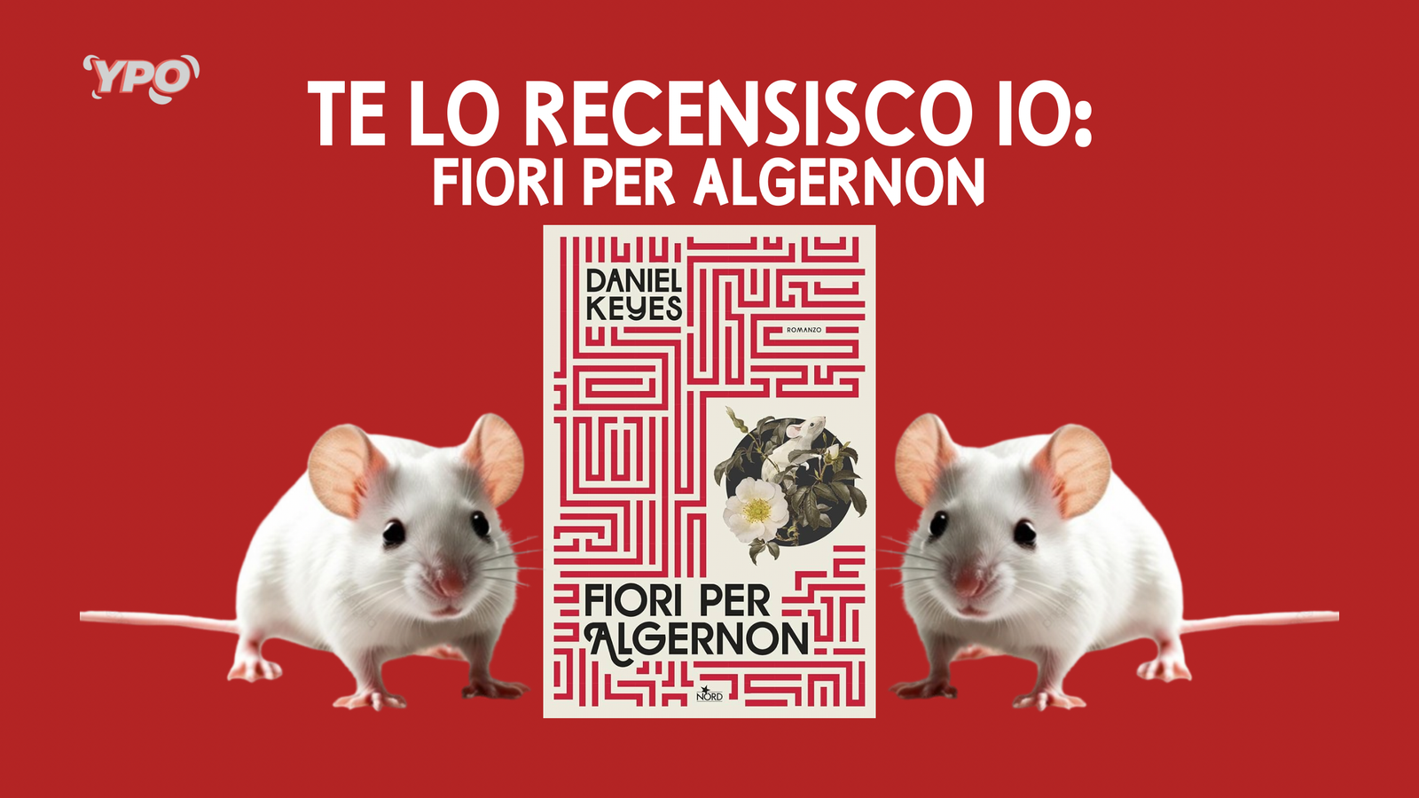 Scopri di più sull'articolo Te lo recensisco io: Fiori per Algernon