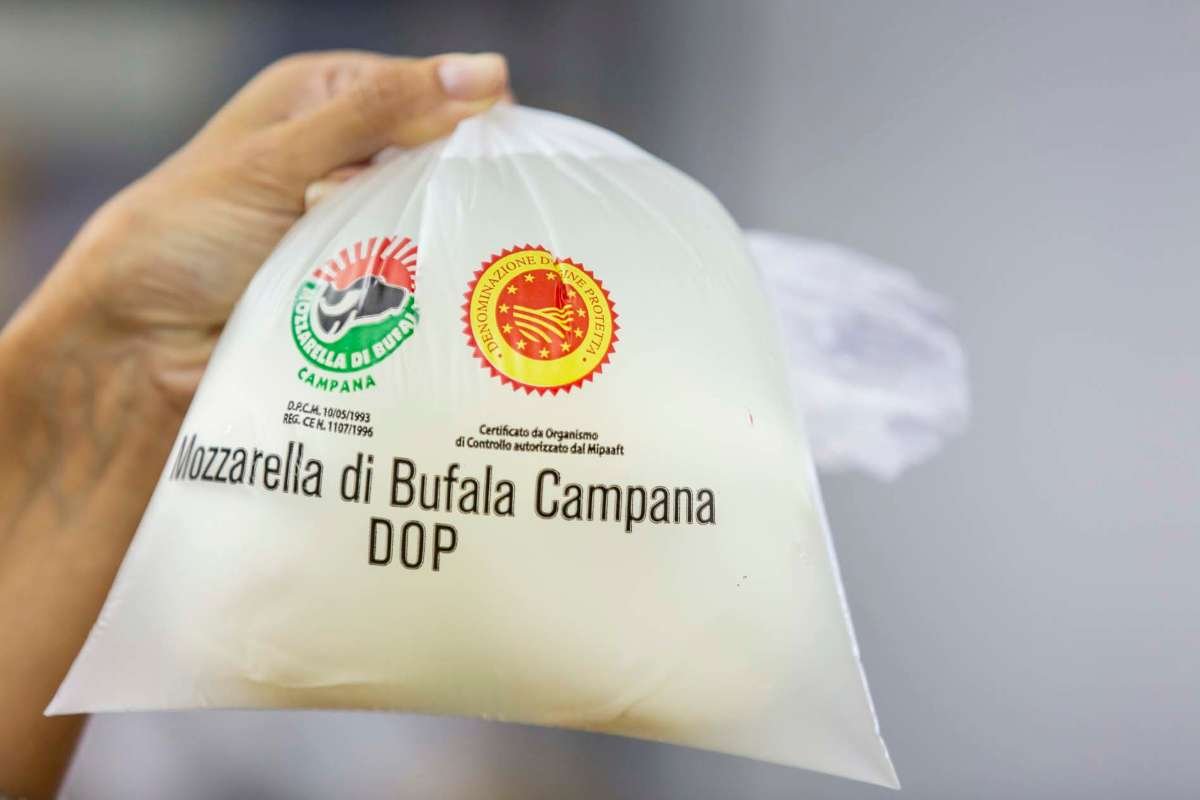 Scopri di più sull'articolo Castel Volturno tra cucina locale ed enogastronomia