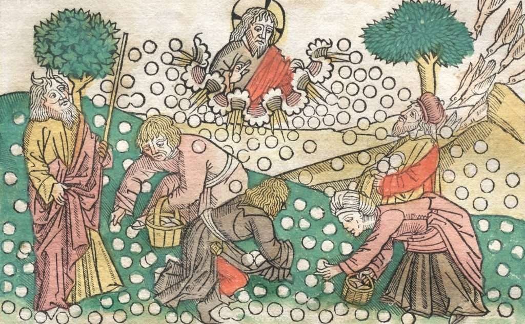 Il Medioevo è stato un periodo buio: non è vero